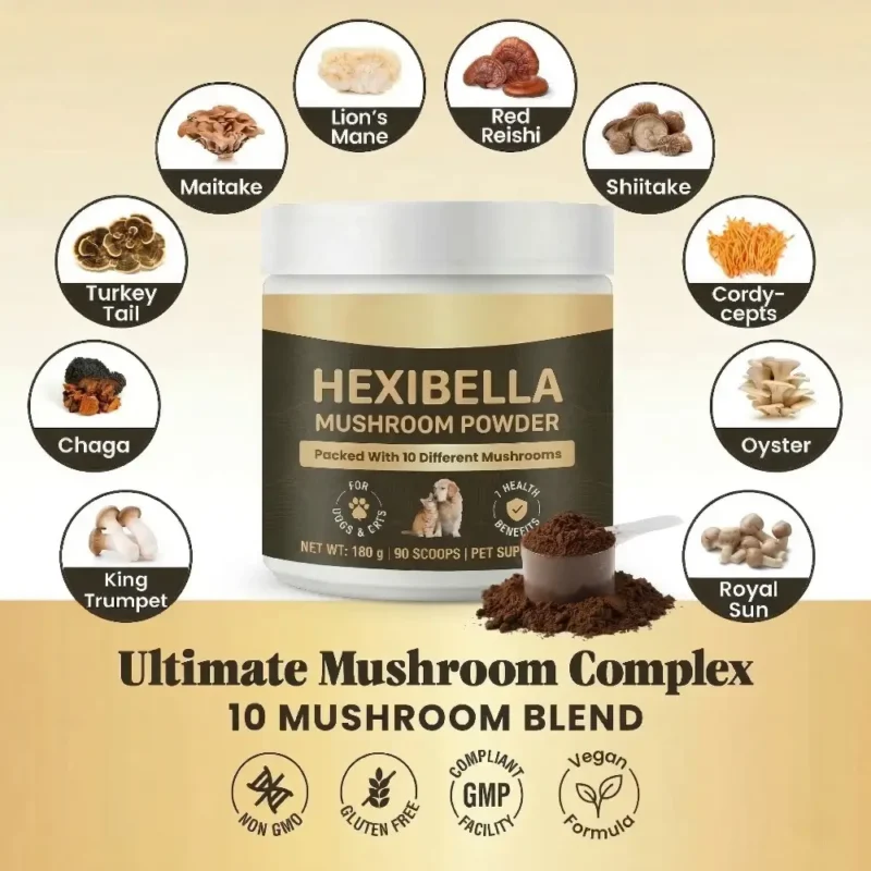 Poudre de champignons pour animaux de compagnie