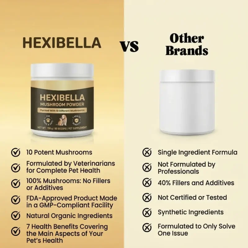 Poudre de champignons pour animaux de compagnie